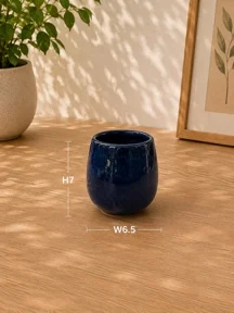 nose Cup